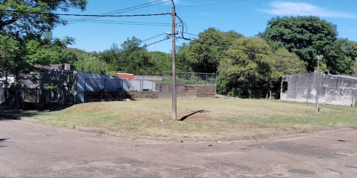 SaveClip.App_573370782_17860928742515482_2019657393508111413_n