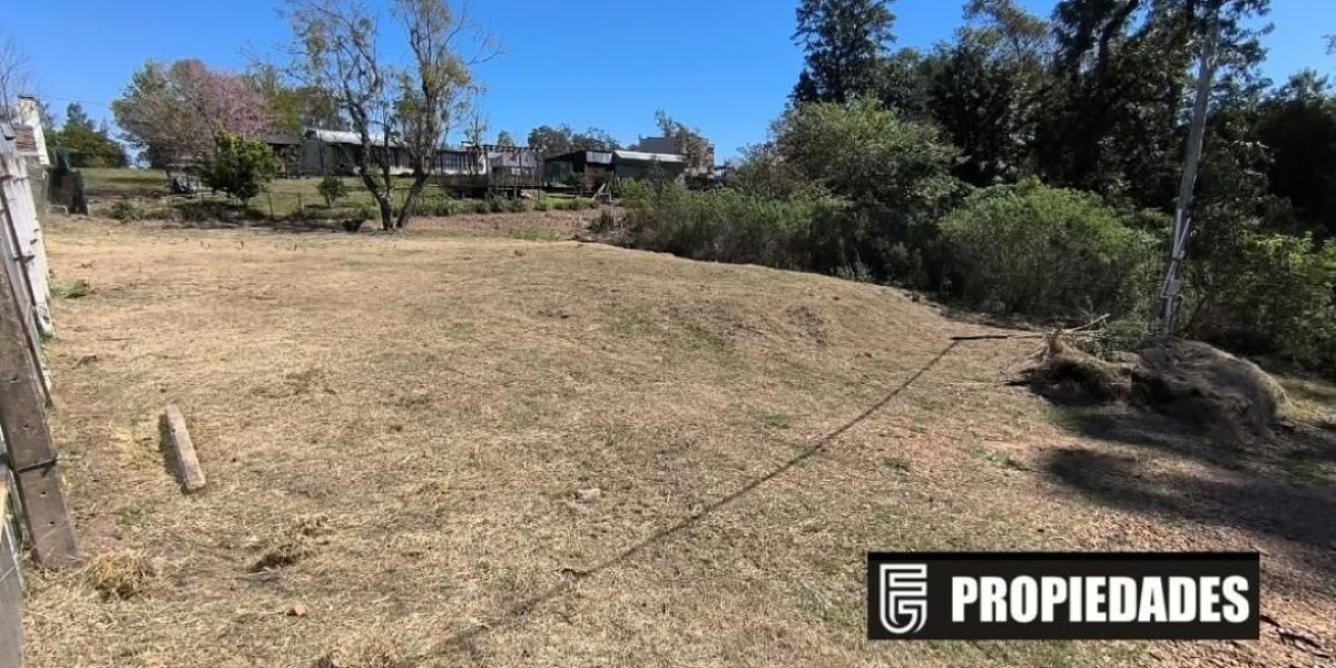 SaveClip.App_590410008_17864648844515482_2524745689659263491_n